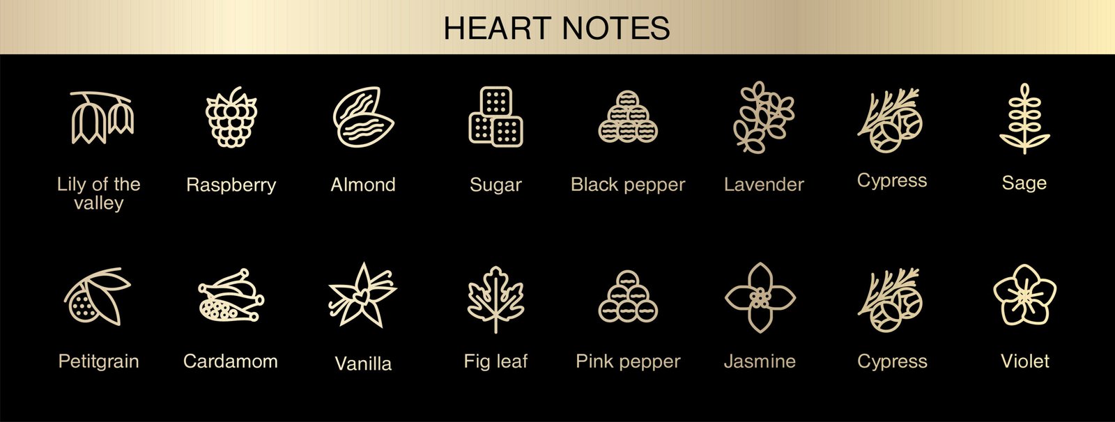 Middle Heart Notes