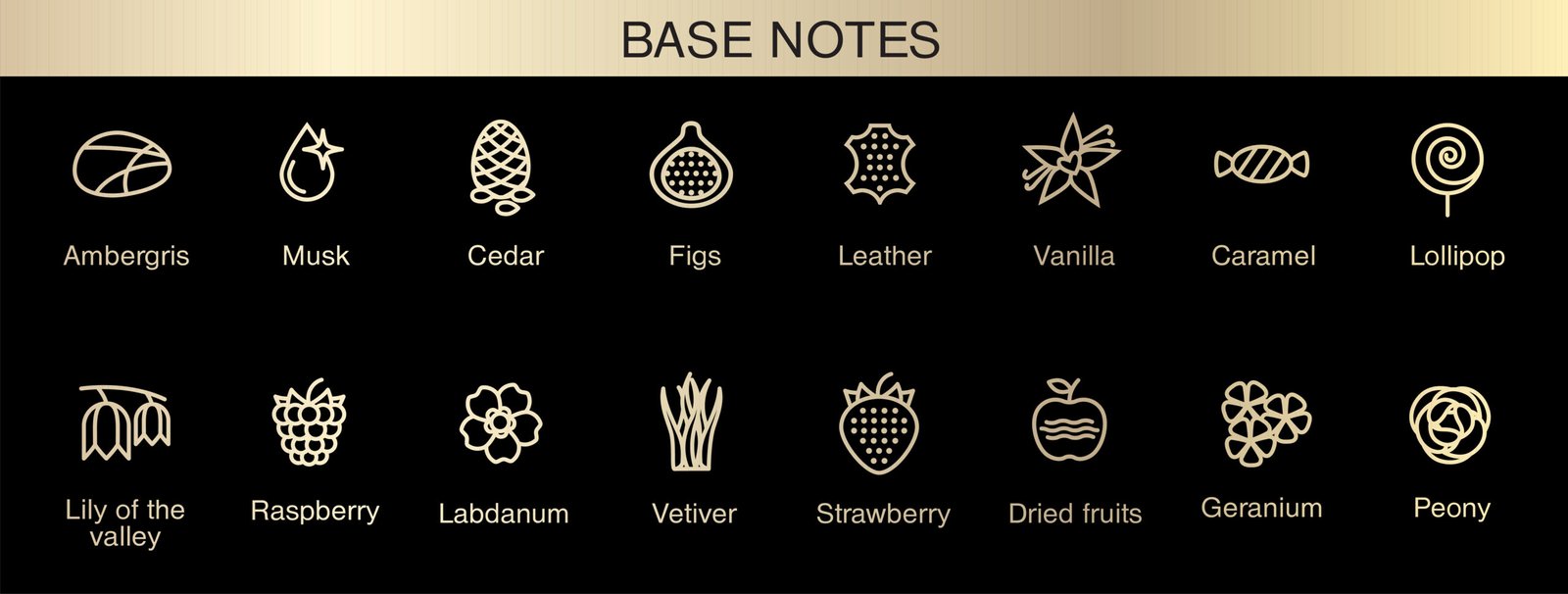 Base Notes