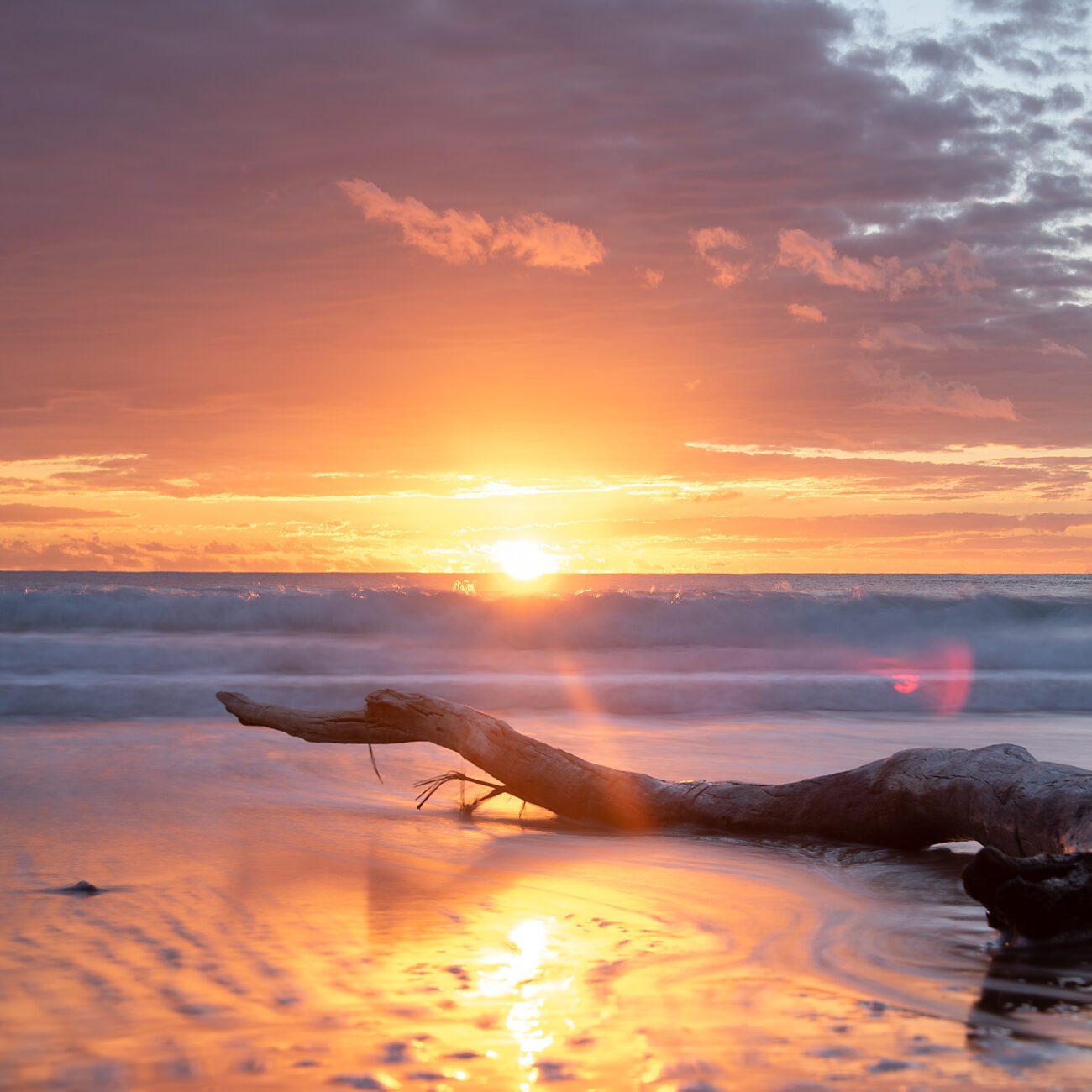 driftwood